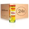 Wilson Championship 24x 3 Ball Tube In A Box -Tennis Series Shop 0158400000 000